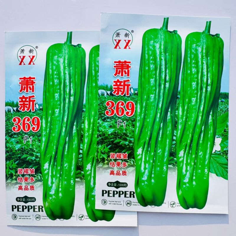 薄皮辣椒种子萧新369薄皮泡椒种籽泡椒蔬菜杂交种春秋播辣