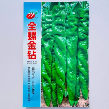 全螺金钻螺丝椒种子早熟全螺旋麻面长果螺丝椒籽抗寒抗病辣椒
