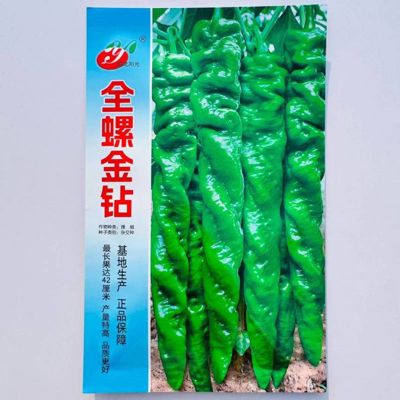 全螺金钻螺丝椒种子早熟全螺旋麻面长果螺丝椒籽抗寒抗病辣椒