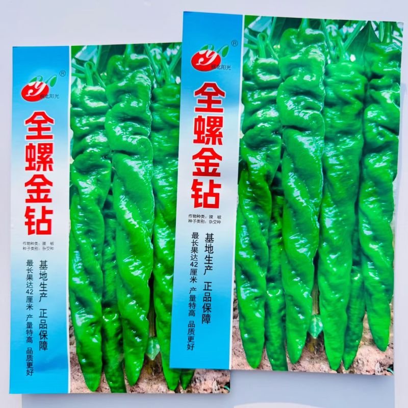 全螺金钻螺丝椒种子早熟全螺旋麻面长果螺丝椒籽抗寒抗病辣椒