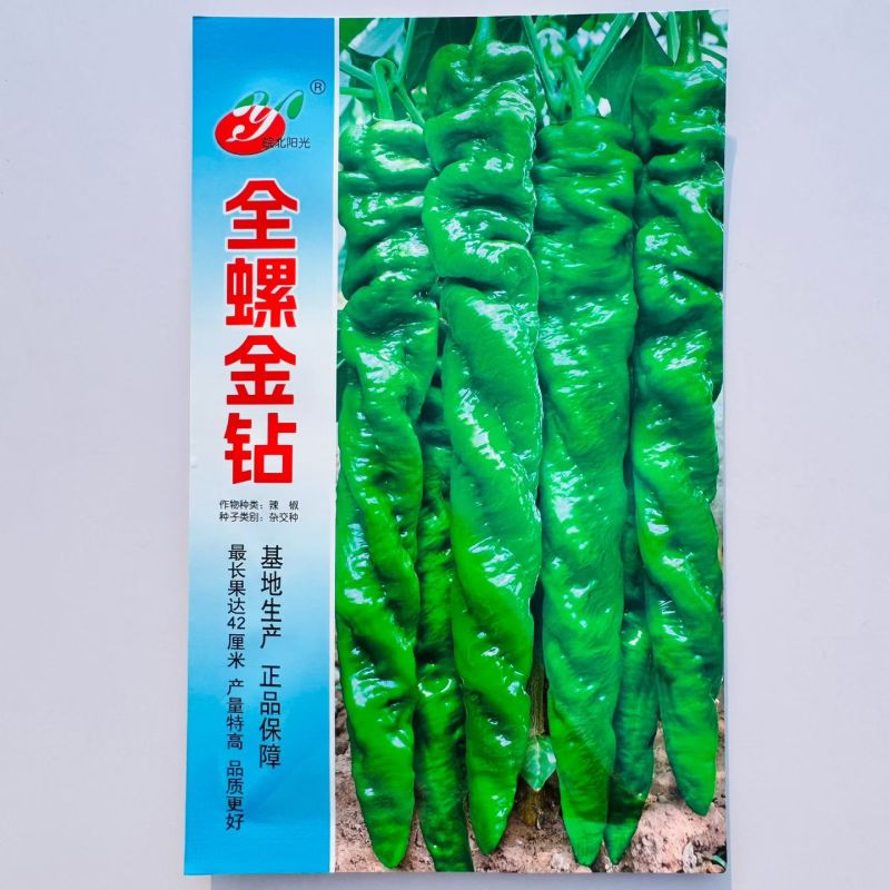全螺金钻螺丝椒种子早熟全螺旋麻面长果螺丝椒籽抗寒抗病辣椒