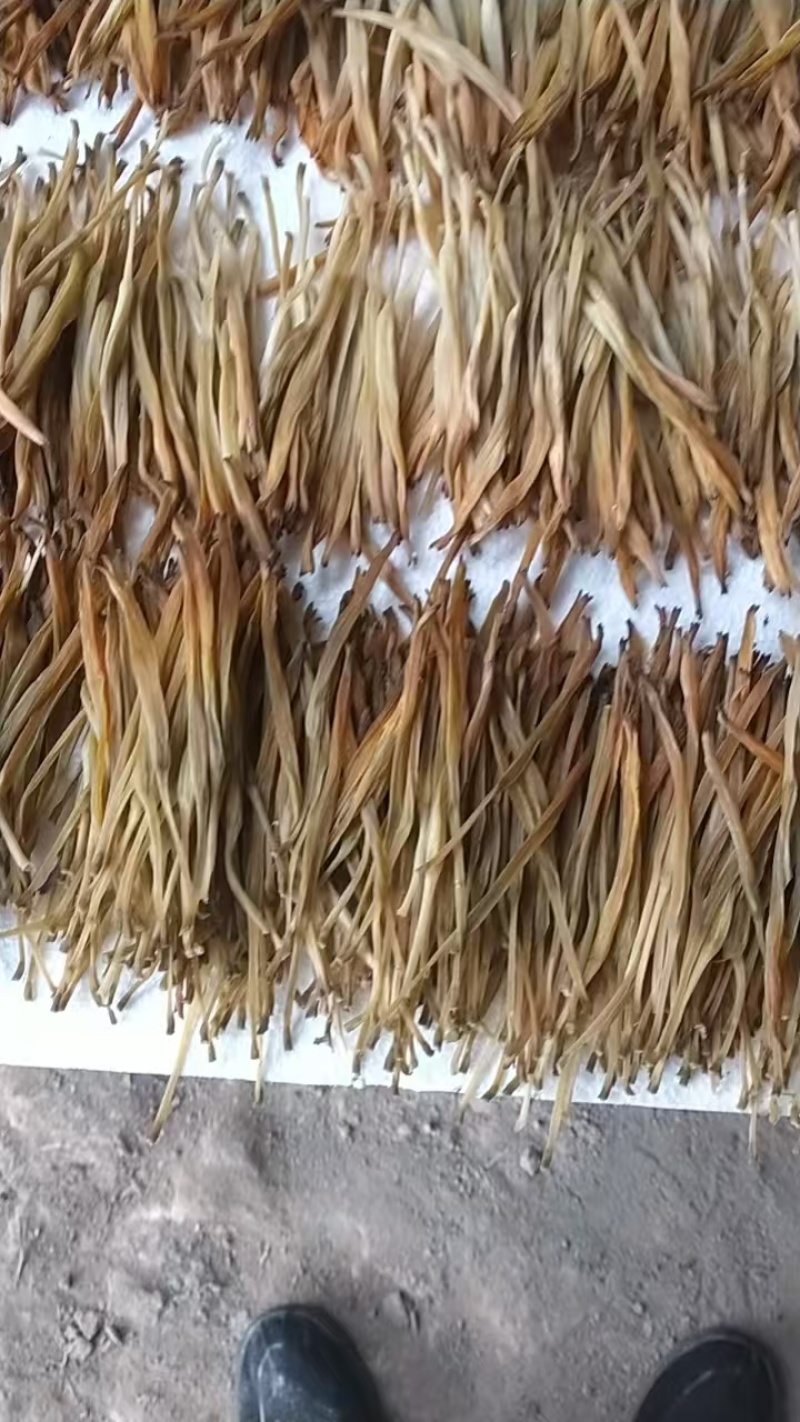 陕西黄花菜，产地一手货源，量大优惠，对接全国市场电商