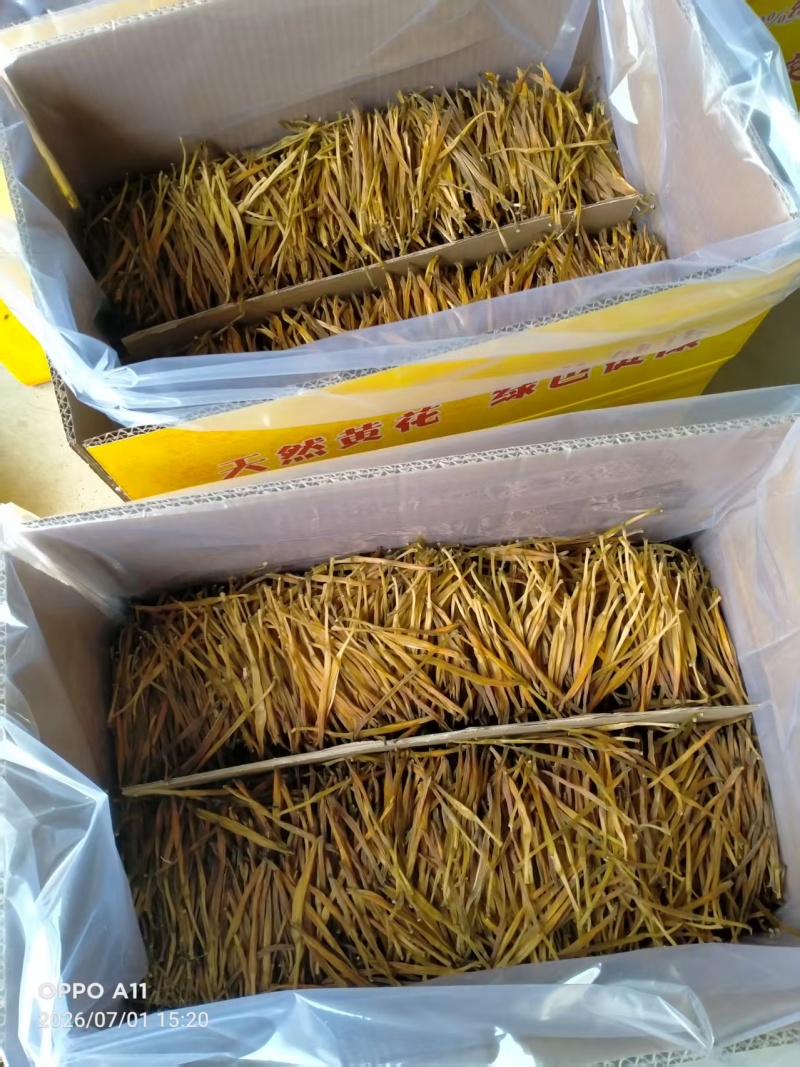陕西黄花菜，产地一手货源，量大优惠，对接全国市场电商