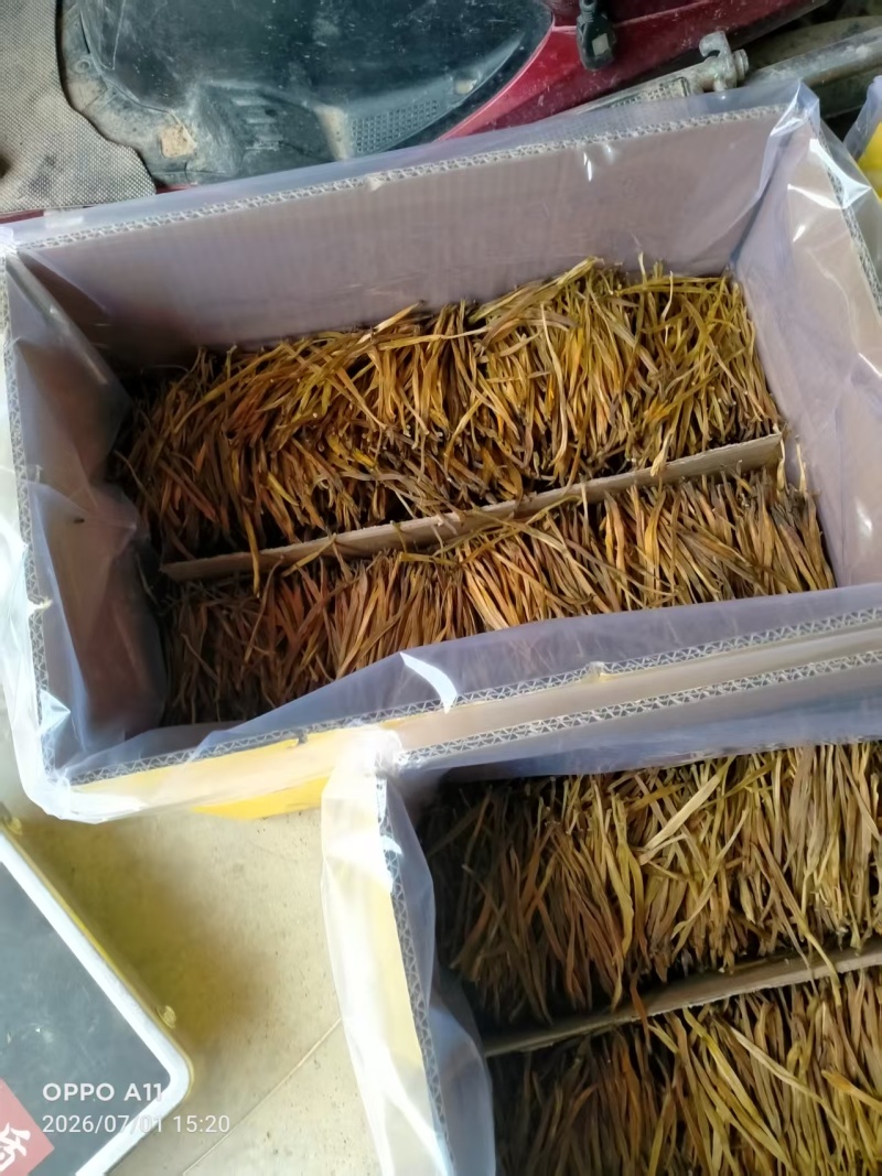 陕西黄花菜，产地一手货源，量大优惠，对接全国市场电商