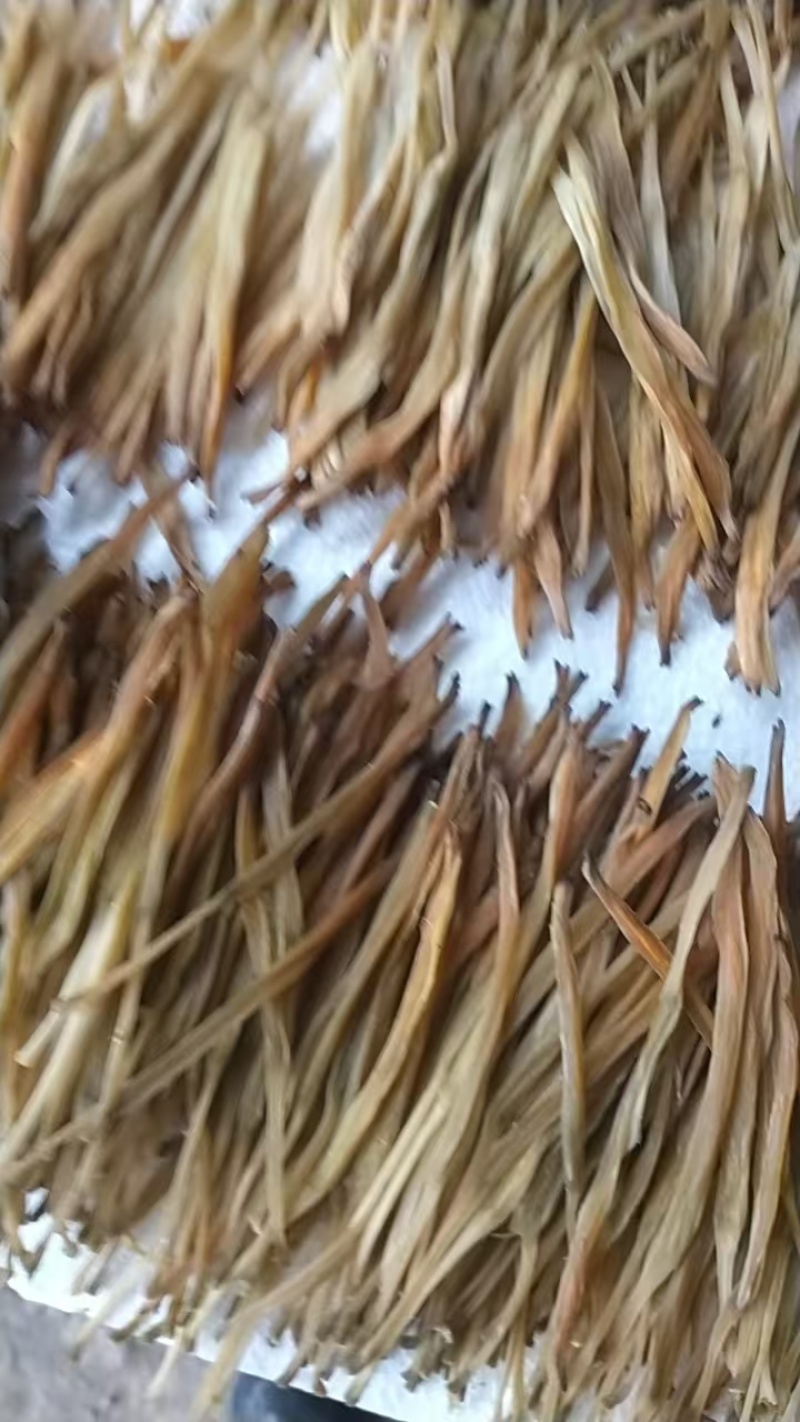陕西黄花菜，产地一手货源，量大优惠，对接全国市场电商