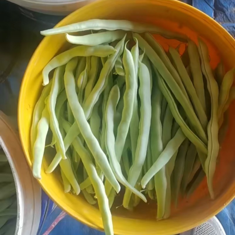 优一豆角