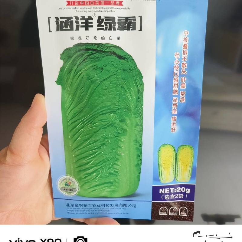 涵洋绿霸青帮绿霸王白菜种子壮心快直筒麻叶黄心大白菜种子