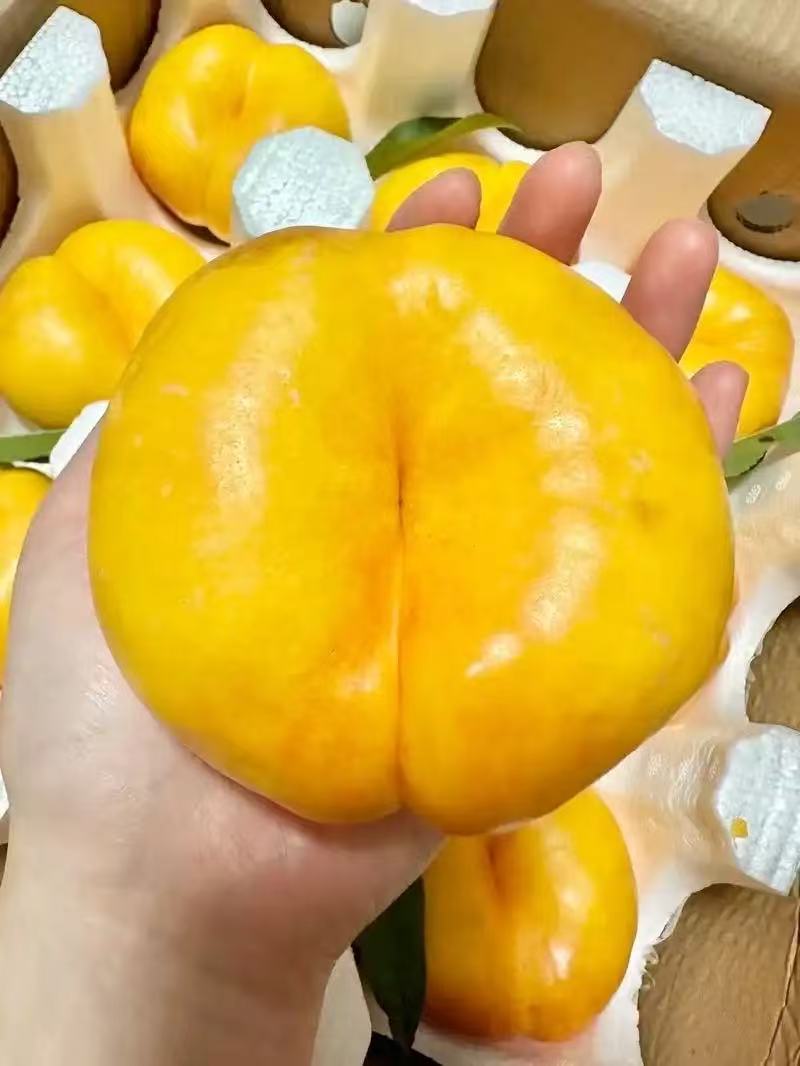 油蟠桃，果大汁多，鲜甜可口，货量充足，产地直发对接批发
