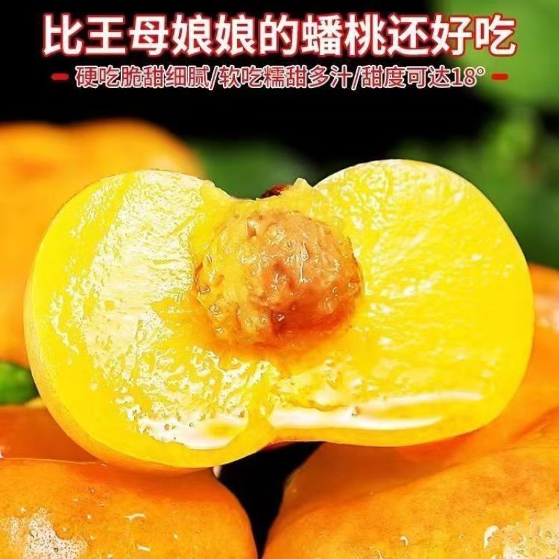 油蟠桃，果大汁多，鲜甜可口，货量充足，产地直发对接批发