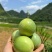 百香果
