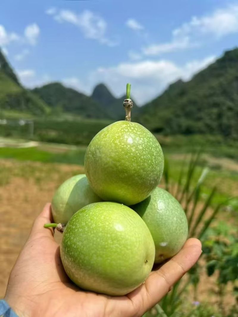 百香果