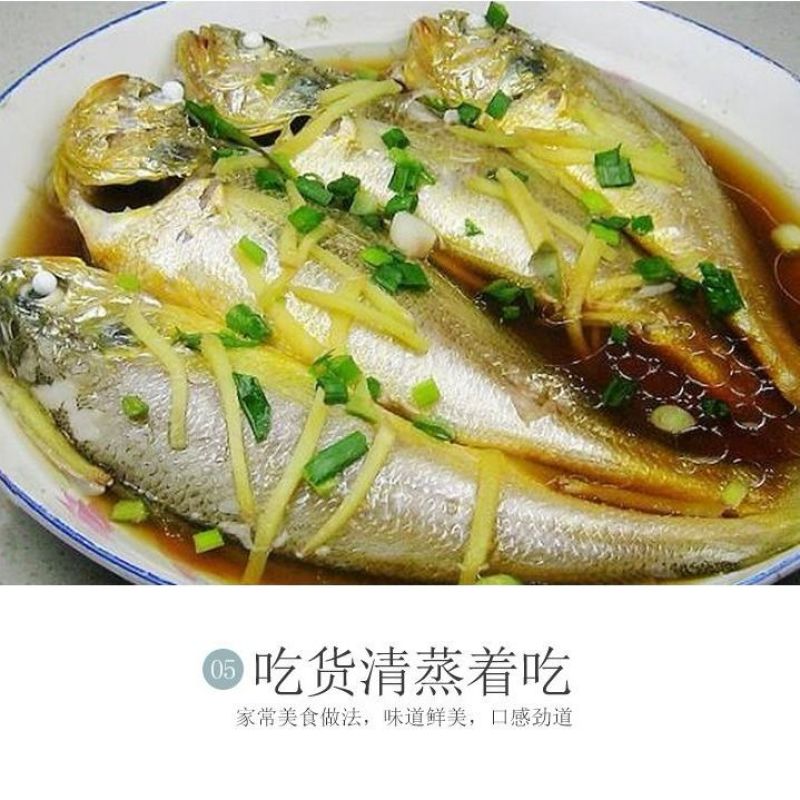 海捕小黄鱼新鲜鲜活冷冻批发海鲜无冰衣冰鲜锁鲜快运48小时发货