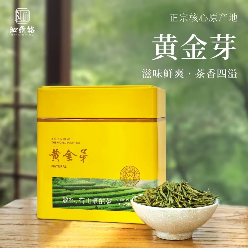 沁欣铭·安吉高山黄金芽2026年新茶自喝送礼