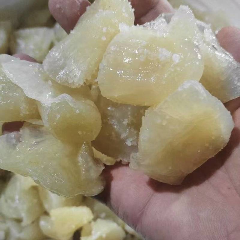 原料娃娃海蜇