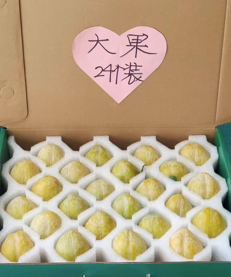 正宗乐昌九峰山黄金奈李脆甜多汁一件代发走车