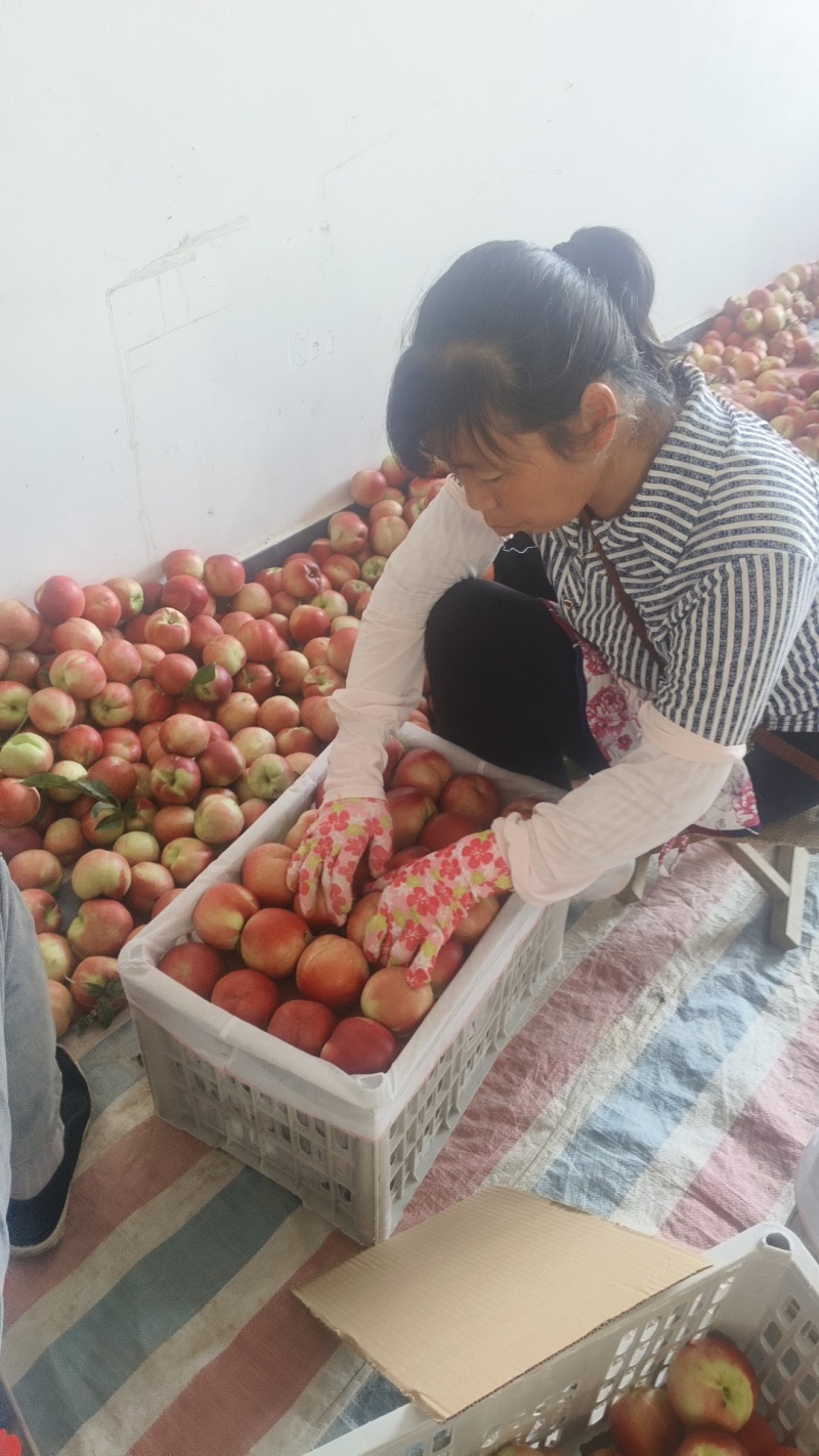 中油2o