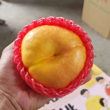 蒙阴蜜桃