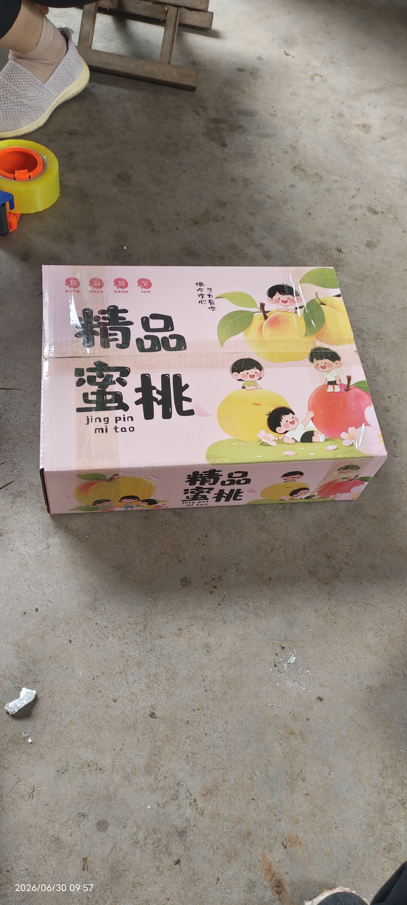 蒙阴蜜桃