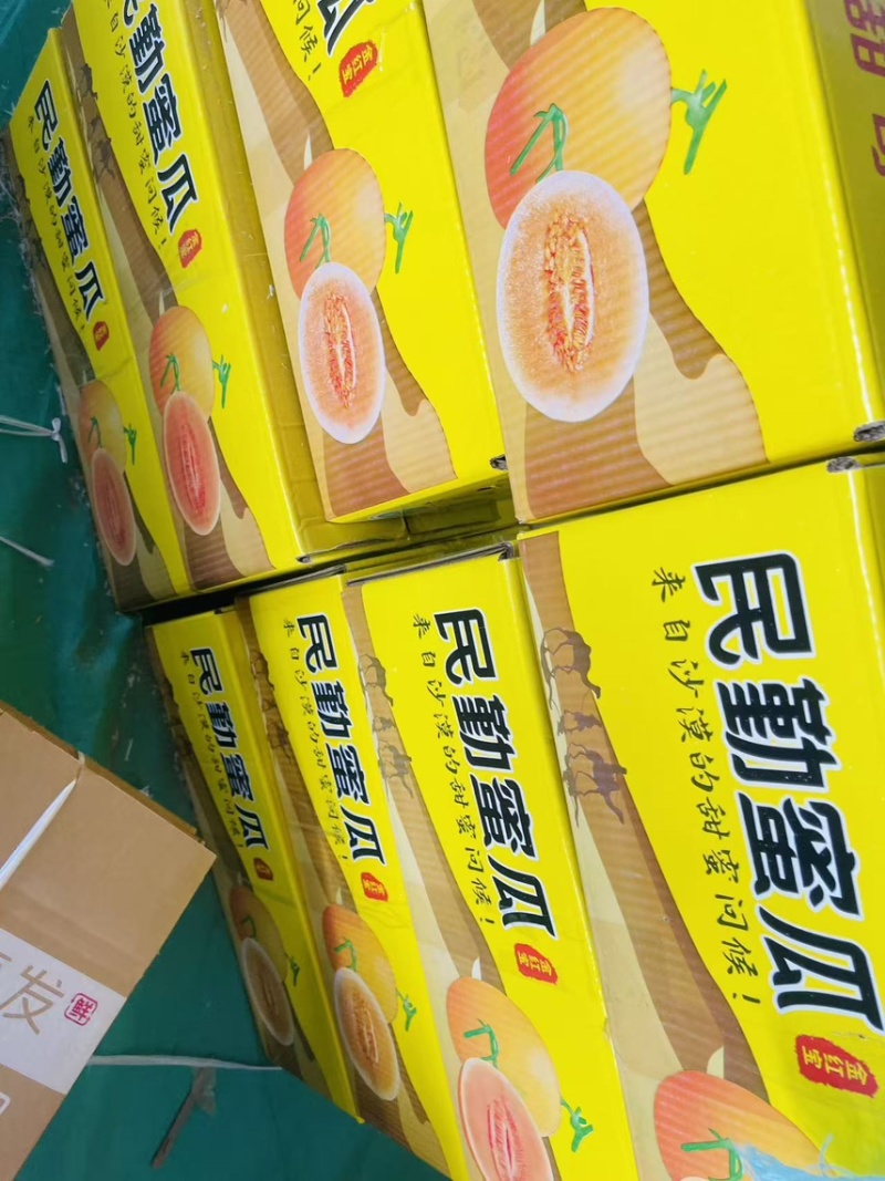 【电商】3甘肃民勤蜜瓜各大平台一件代发社区团购溯源直播