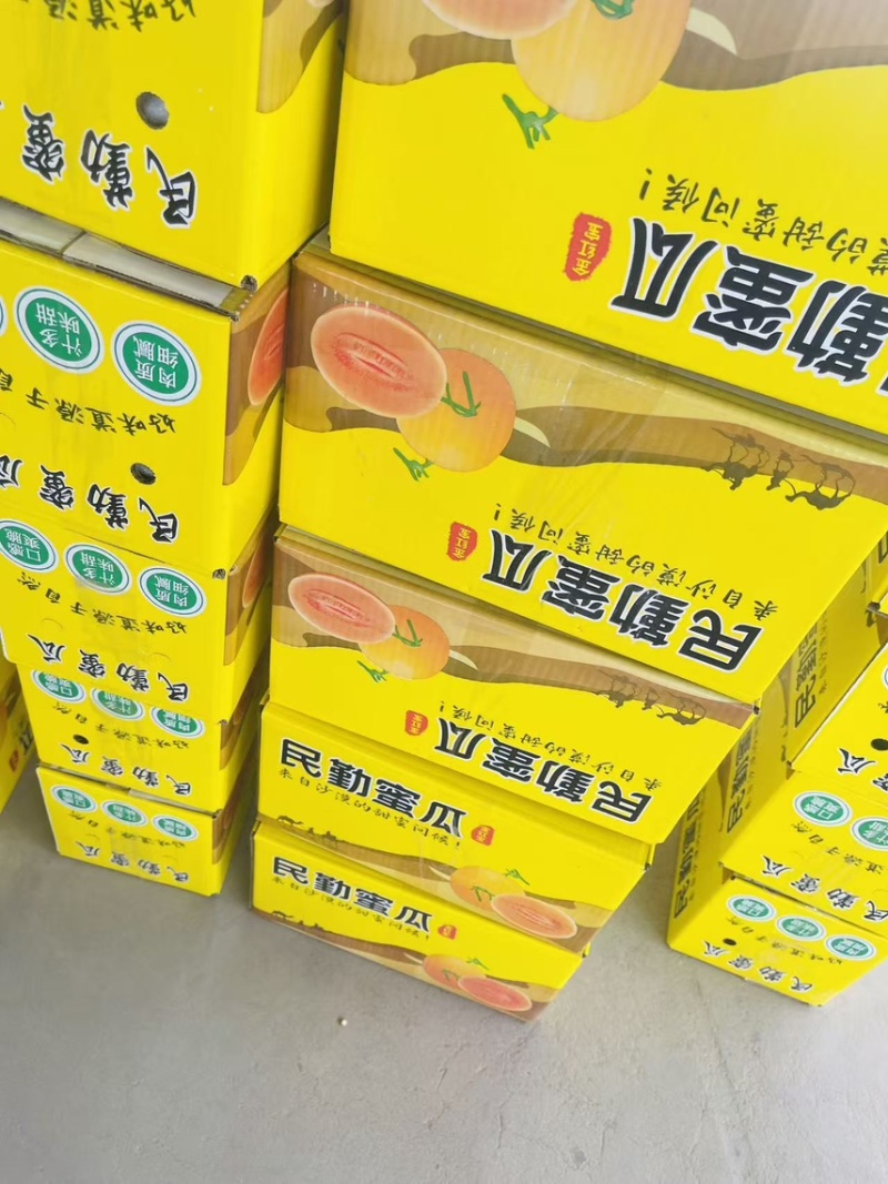 【电商】3甘肃民勤蜜瓜各大平台一件代发社区团购溯源直播