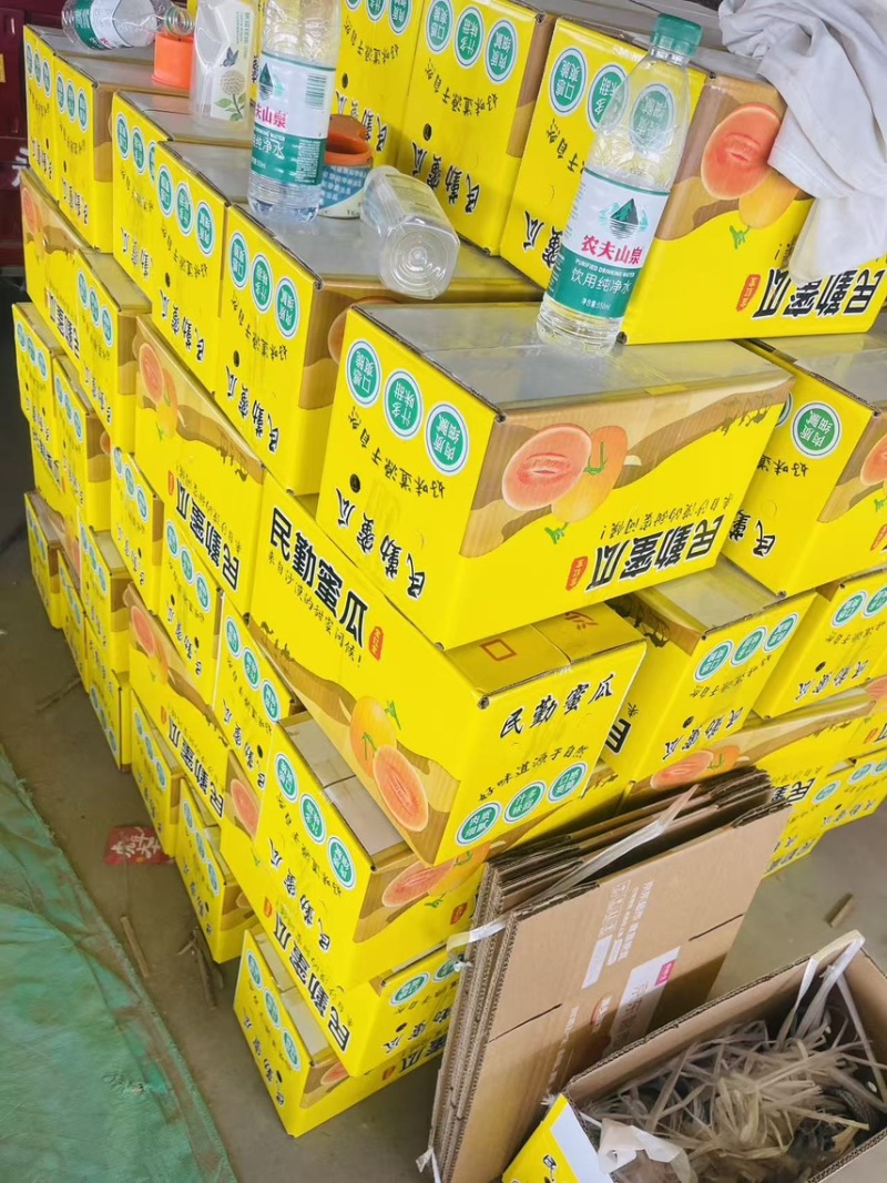 【电商】3甘肃民勤蜜瓜各大平台一件代发社区团购溯源直播