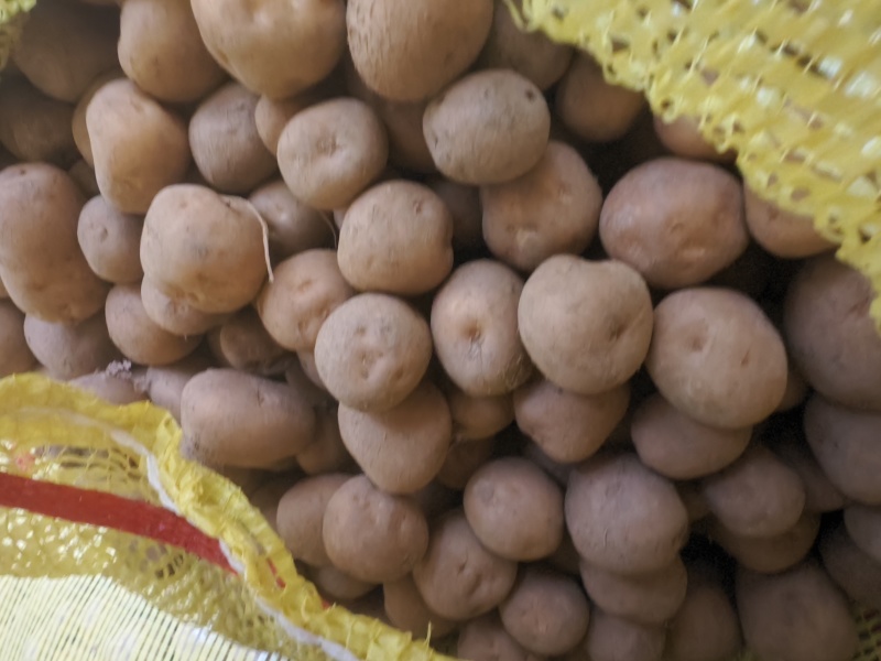 湖北恩施天然富硒小土豆马尔科