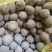 湖北恩施天然富硒小土豆马尔科