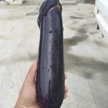 烧烤茄，青瓜