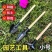 盆栽小铲子种花养花园艺工具种植工具套装迷你园艺三件套家用