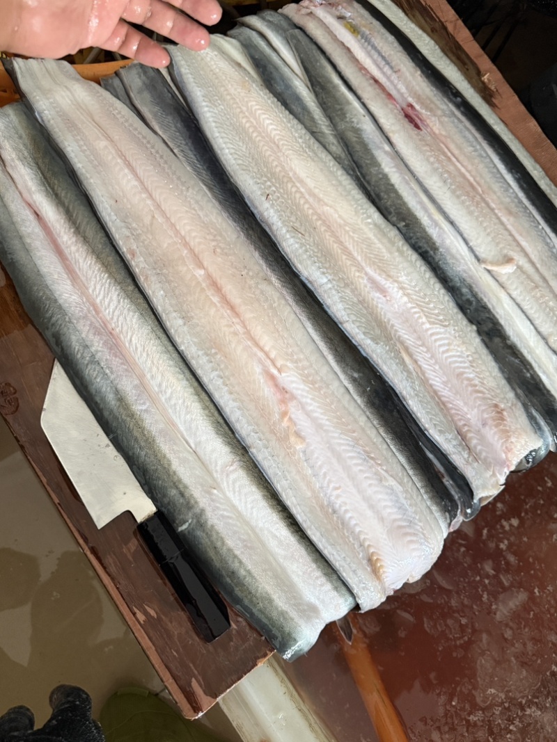 冰鲜日本活鳗鱼，现杀去骨，日料蒲烧寿司专用整条原材