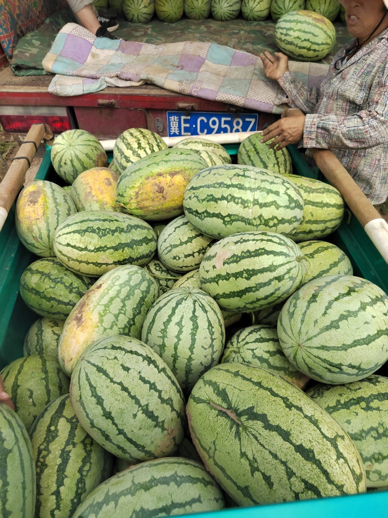 金花西瓜