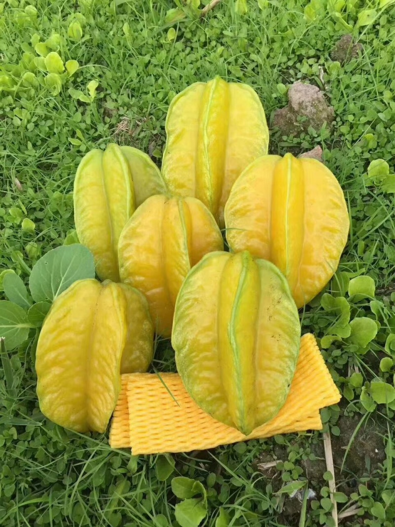 美味杨桃