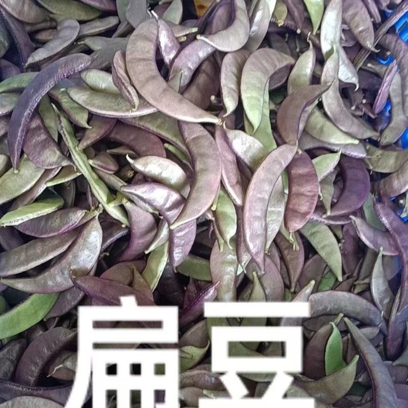扁豆，产地大量发货，质量保证，欢迎咨询合作