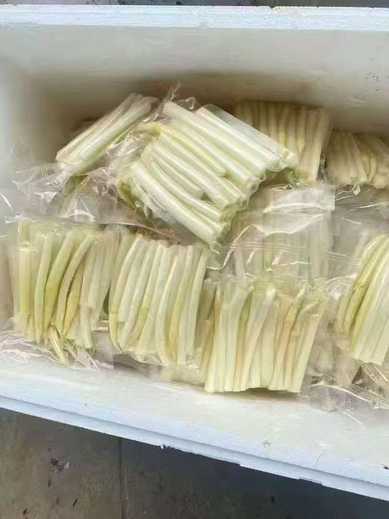 藕断，精品包装，产地大量发货，一件代发，欢迎合作