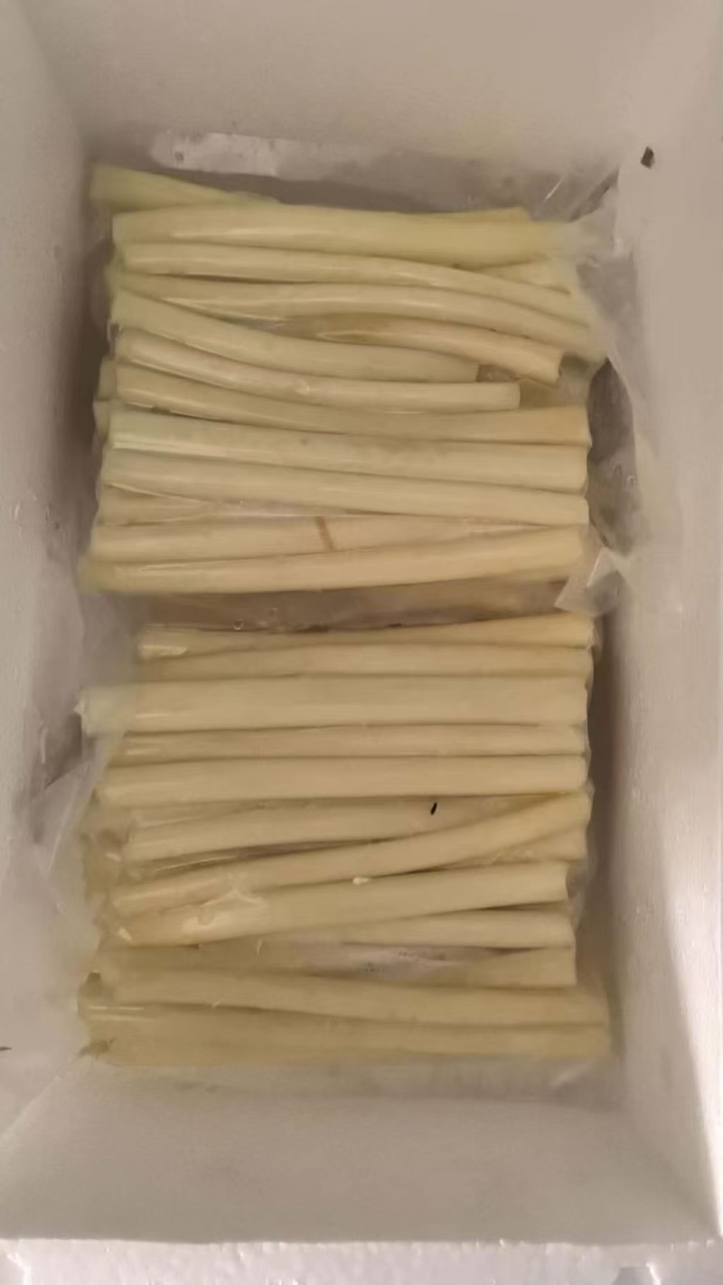 藕断，精品包装，产地大量发货，一件代发，欢迎合作
