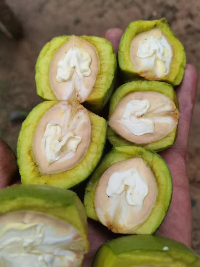 新鲜核桃