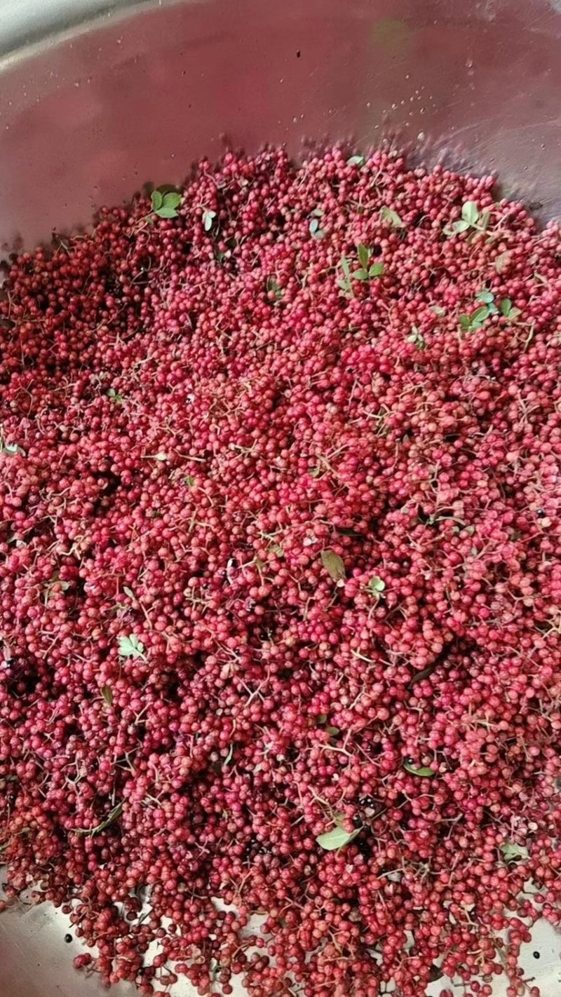 四川大红花炮花椒很浓很香的花椒有几十万斤保证质量放全心要