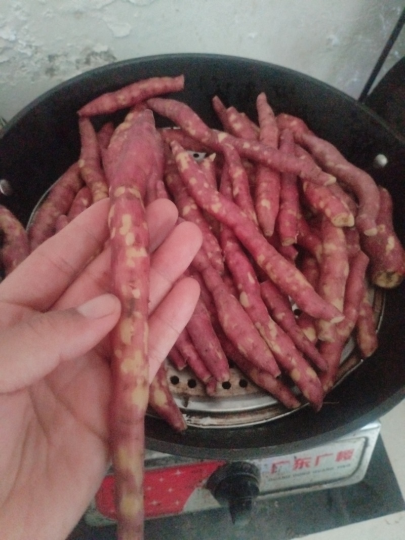 临潼板栗红薯现挖现卖需要的联系