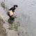 湖南湘西小溪里面的小鱼小虾