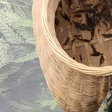 湖南湘西小溪里面的小鱼小虾