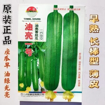 油亮肉丝瓜种子坐果率高果型顺直耐热春秋播种丝瓜种籽杂交种