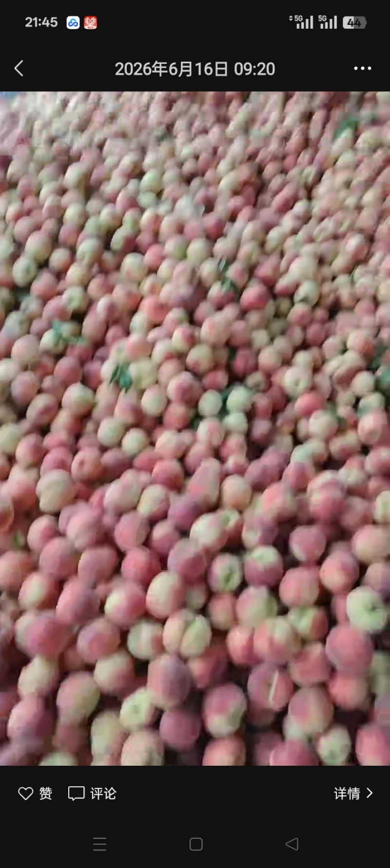 桃，各品种桃，罐头厂，果脯，打浆，酿酒。产地直发