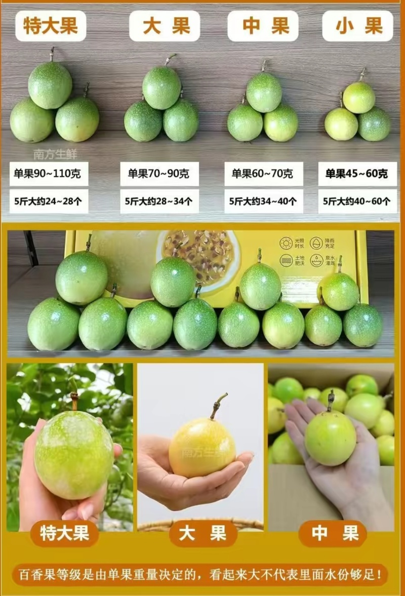 广西钦密9号百香果，已经开始上市了