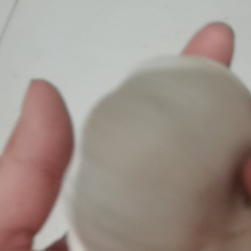 26年新蒜。白皮蒜