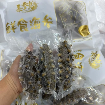 大连莱参岛鲜食辽参即吃辽参鲜食海参肉质Q弹海参味浓有韧性