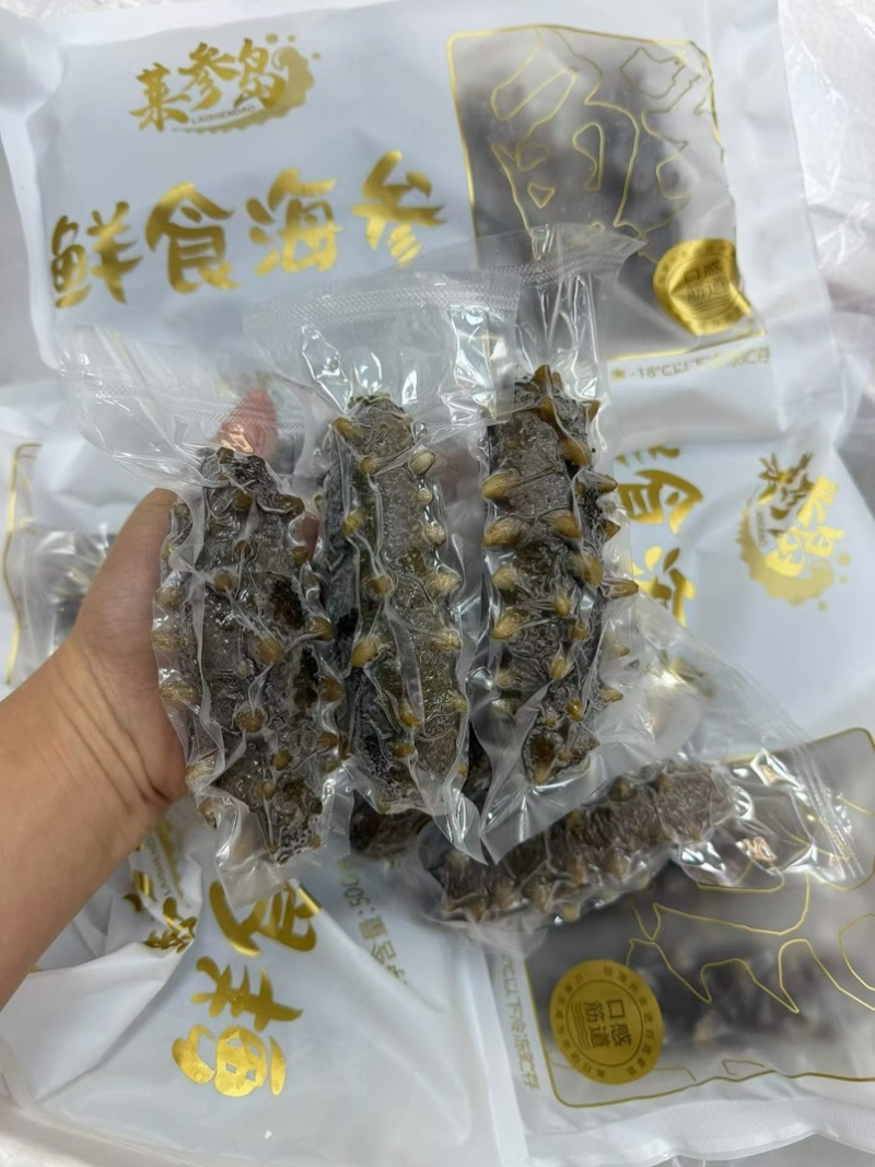 大连莱参岛鲜食辽参即吃辽参鲜食海参肉质Q弹海参味浓有韧性