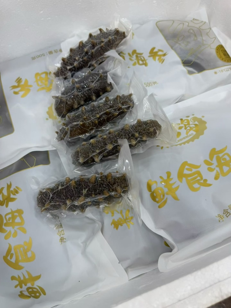大连莱参岛鲜食辽参即吃辽参鲜食海参肉质Q弹海参味浓有韧性