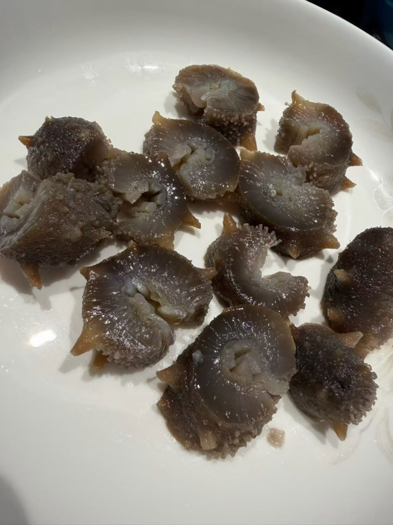 大连莱参岛鲜食辽参即吃辽参鲜食海参肉质Q弹海参味浓有韧性