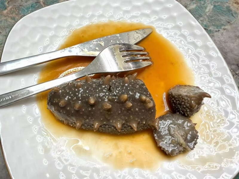 大连莱参岛鲜食辽参即吃辽参鲜食海参肉质Q弹海参味浓有韧性