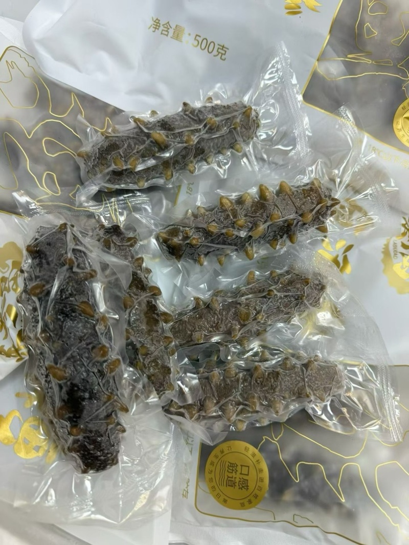 大连莱参岛鲜食辽参即吃辽参鲜食海参肉质Q弹海参味浓有韧性